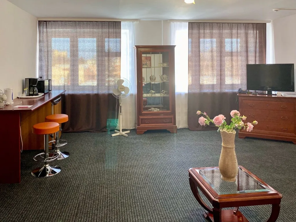 " Люкс" ( 1 двуспальная кровать)