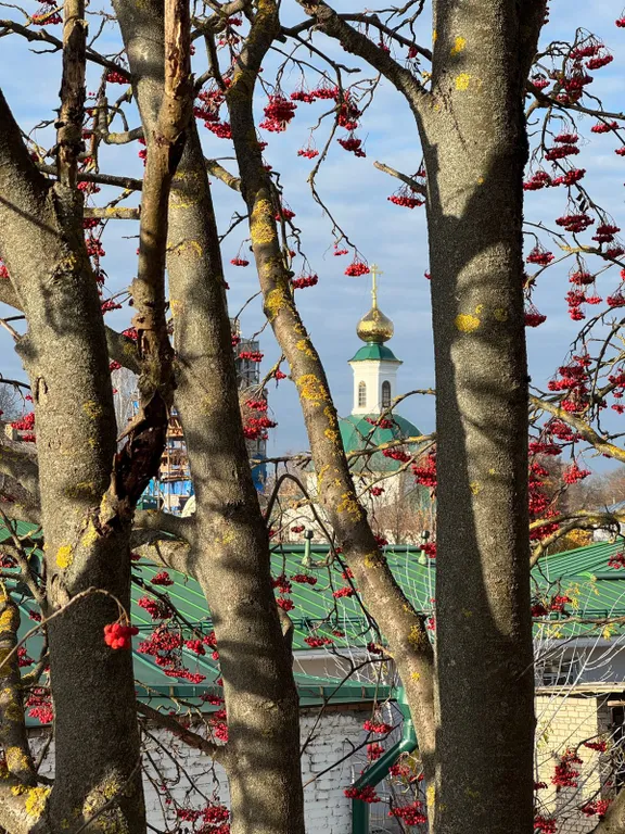 Квартира в центре для большой компании