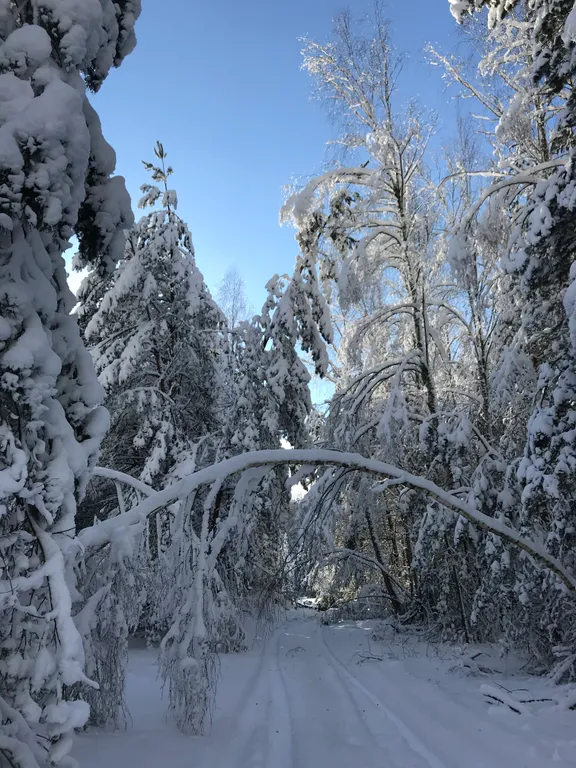 Агроусадьба Пралеска