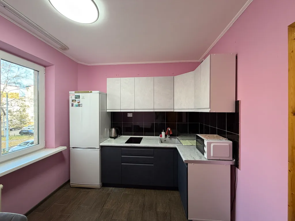 Однокомнатная квартира со всем необходимым у Аиста