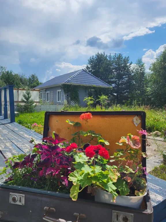 Дом Фламинго