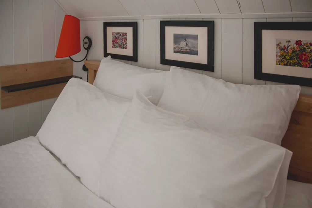 Коттедж Зелёный Мох до 12 гостей