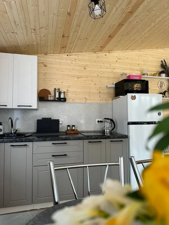 Уютный дом с баней и тёплой купелью