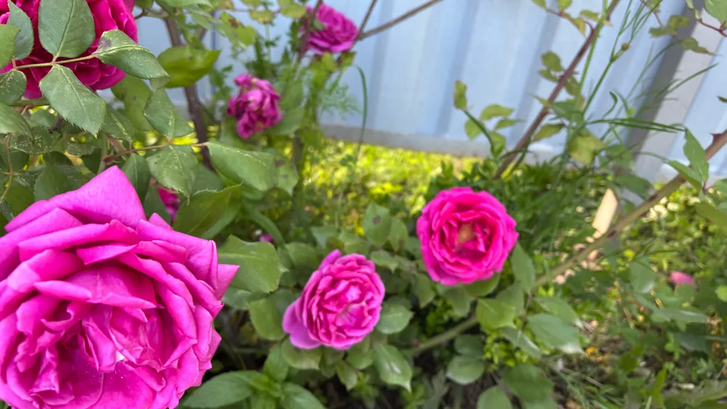 Коттедж a-frame пицунда 2