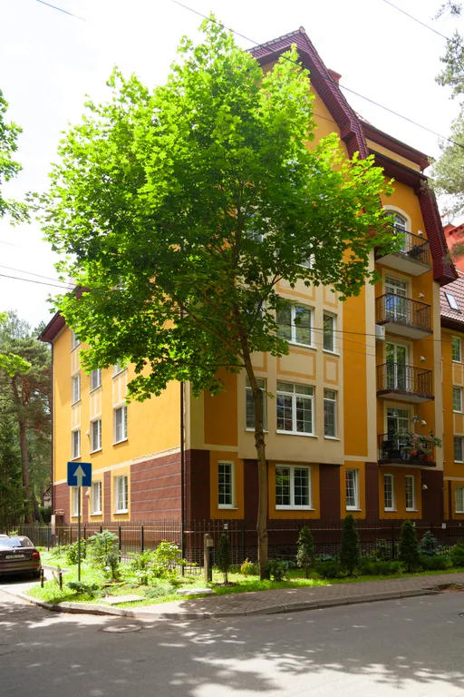 Квартира Квартира Сосновый рай в центре — Светлогорск