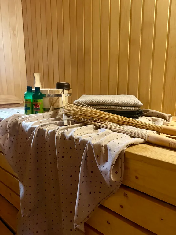 Дом с баней у леса