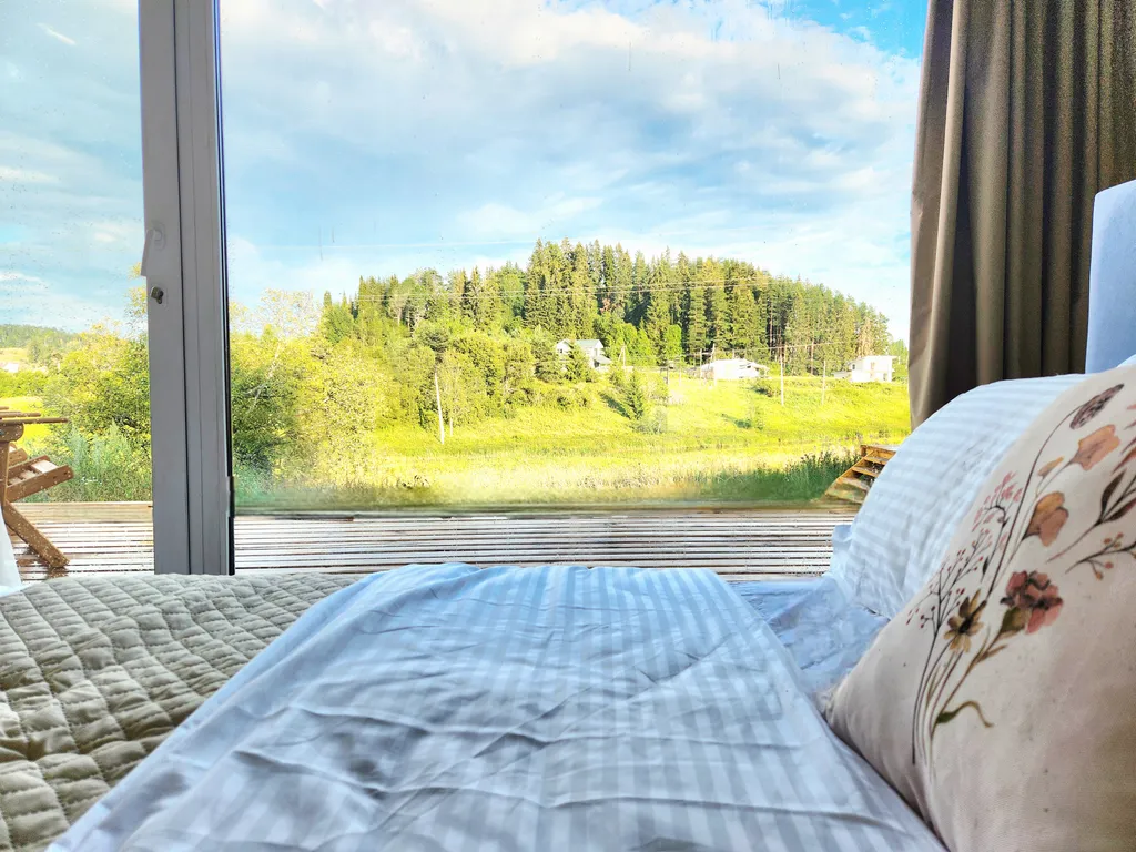 Дом с березками