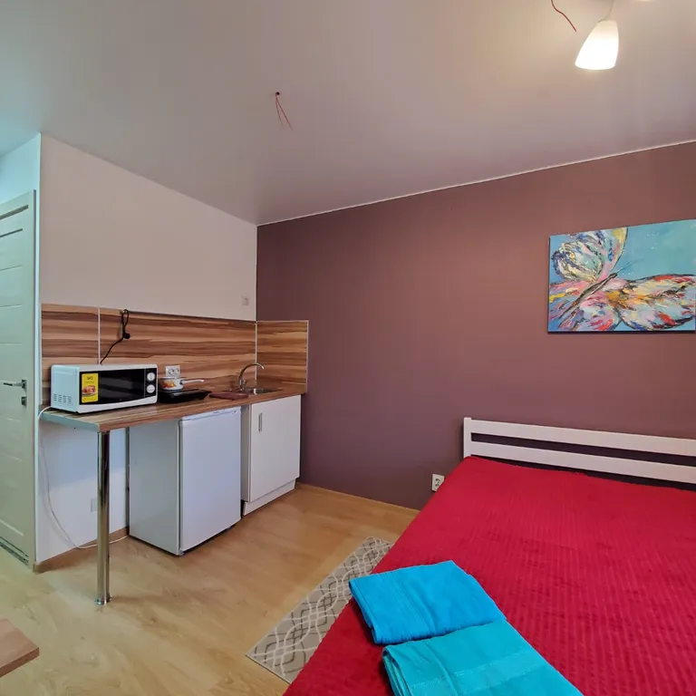 Апартаменты " Как дома" Студия 10 рядом с университетом.