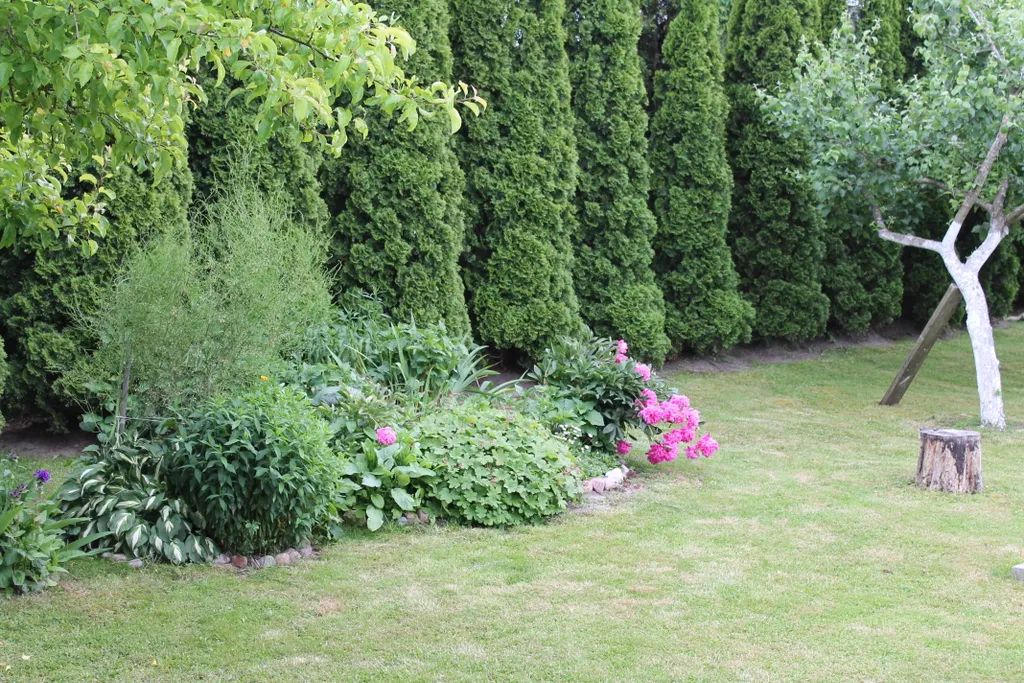 Коттедж Коттедж Лайтхаус Кот Маркиз 1Б — Зеленоградск