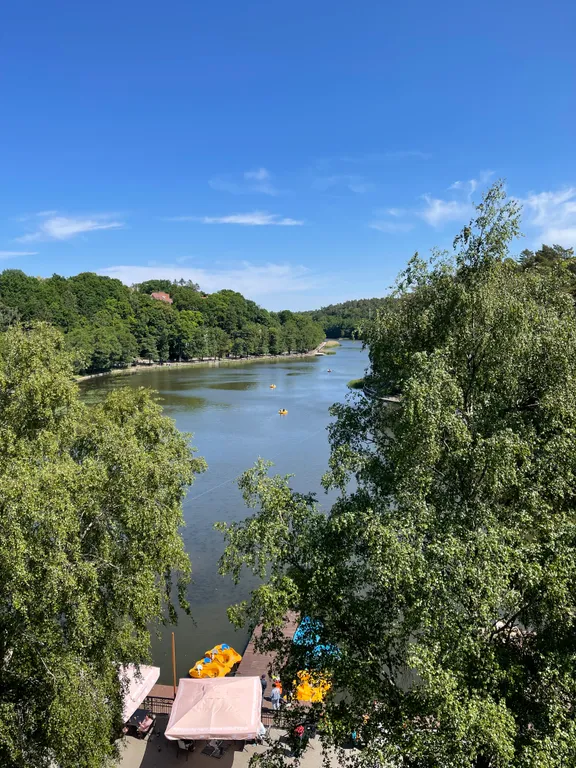 Уютная квартира с видом на озеро и сосновый лес