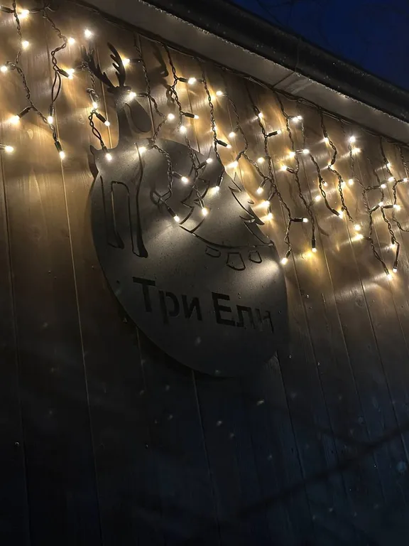 Дом Вапити - уютный коттедж на отдельном лесном участке