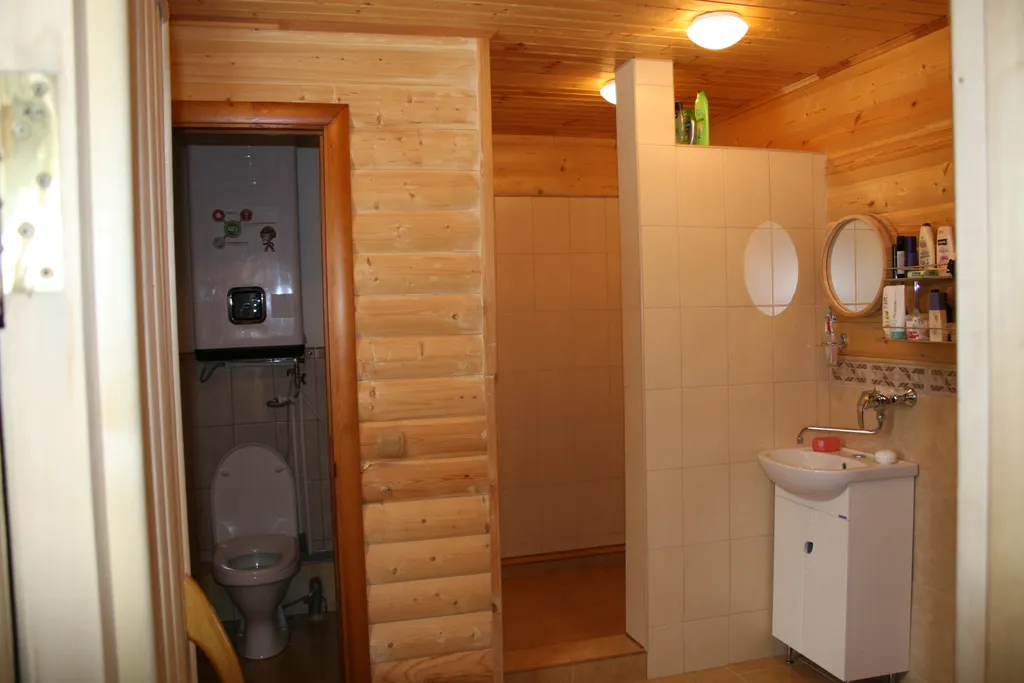 Уютный домик в березовой роще