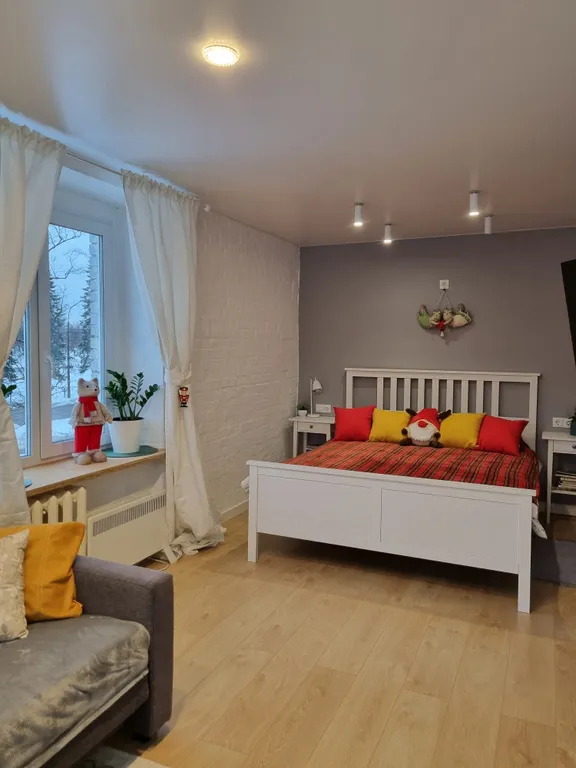 Квартира с видом на собор Святого Петра и Павла