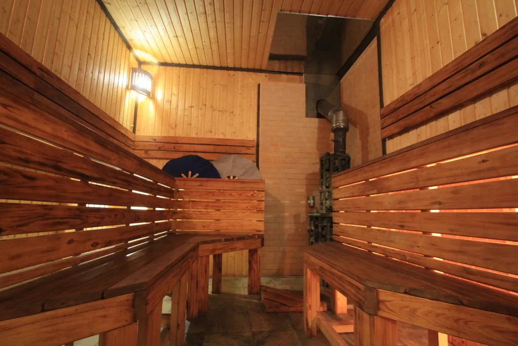 Новый уютный дом-баня с банным чаном у соснового леса