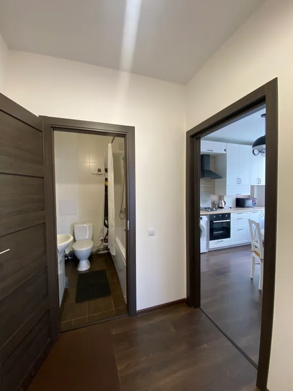 Квартира Уютная новая квартира — Светлогорск