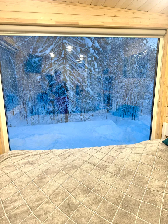 Уютный домик с панорамным окном и видом на лес