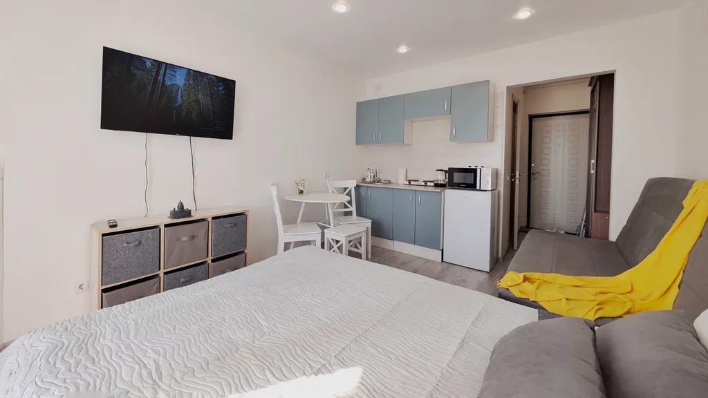 Солнечная студия во всеволожске, панорамный вид, smart tv