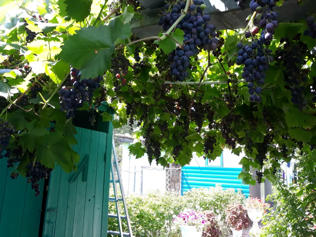 Номер на троих с балконом