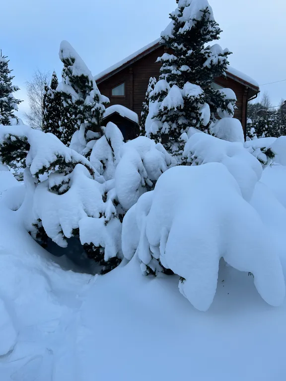 Загородный коттедж рядом с горнолыжными склонами