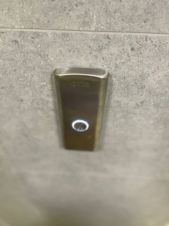 Студия чемпионов