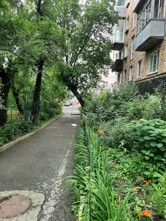 Квартира Квартира Студия в центре - 7 минут до пляжа — Владивосток