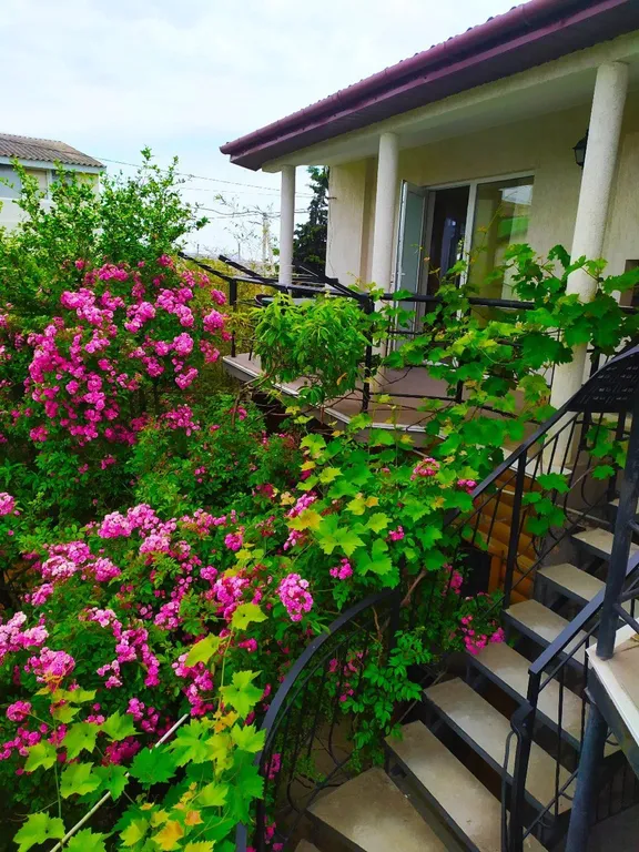 Квартира Квартира Двухкомнатный с кухней и террасой — Севастополь