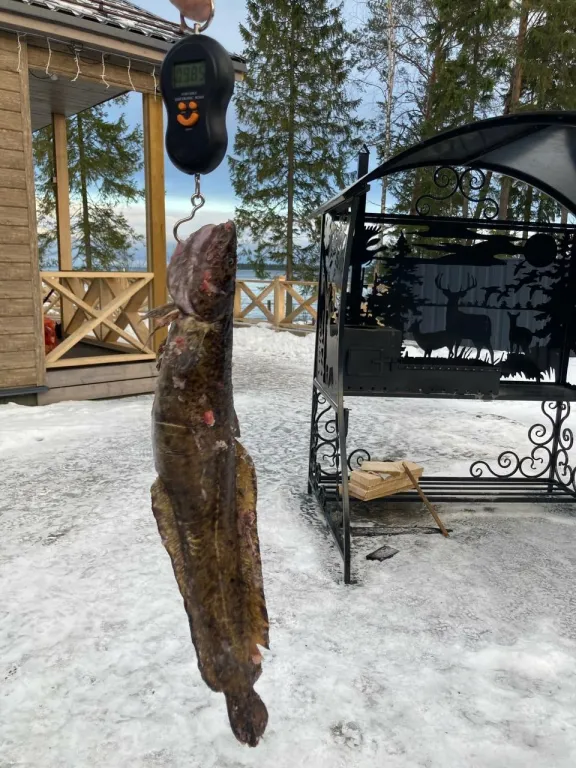 Дом на берегу озера