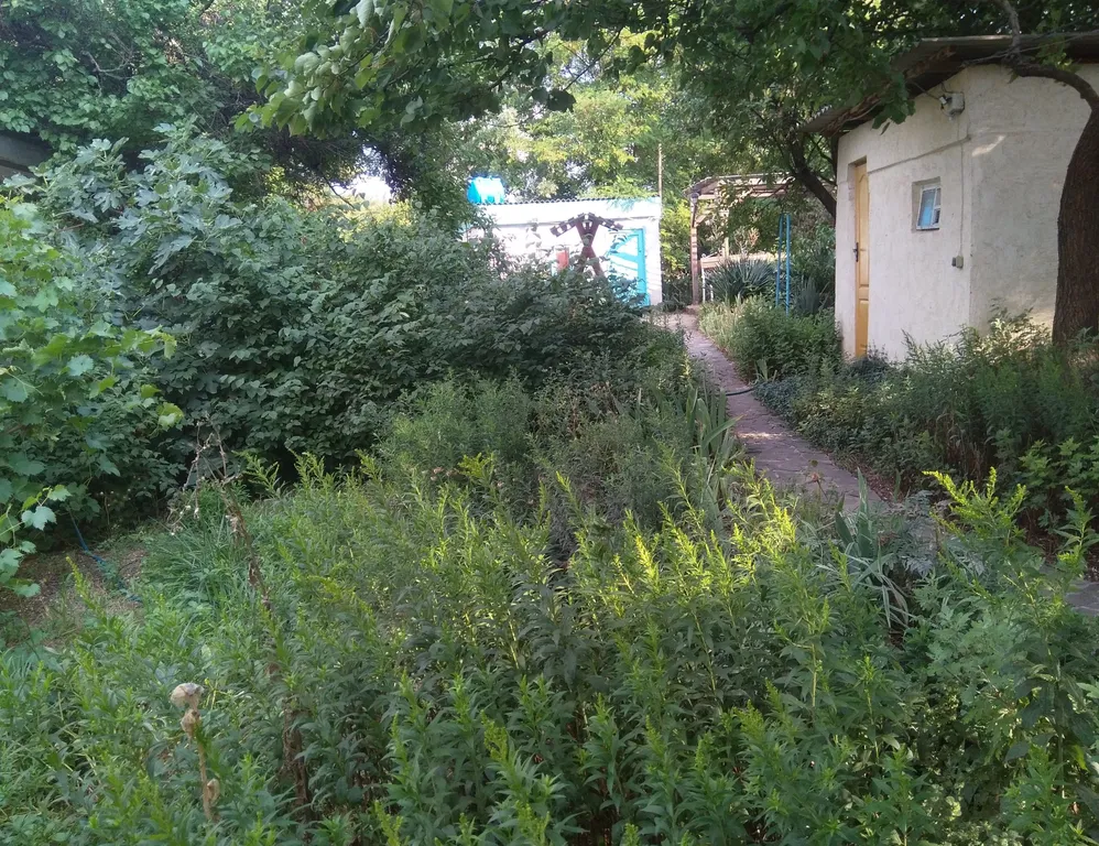 Коттедж 4-комнатный Дом — Севастополь