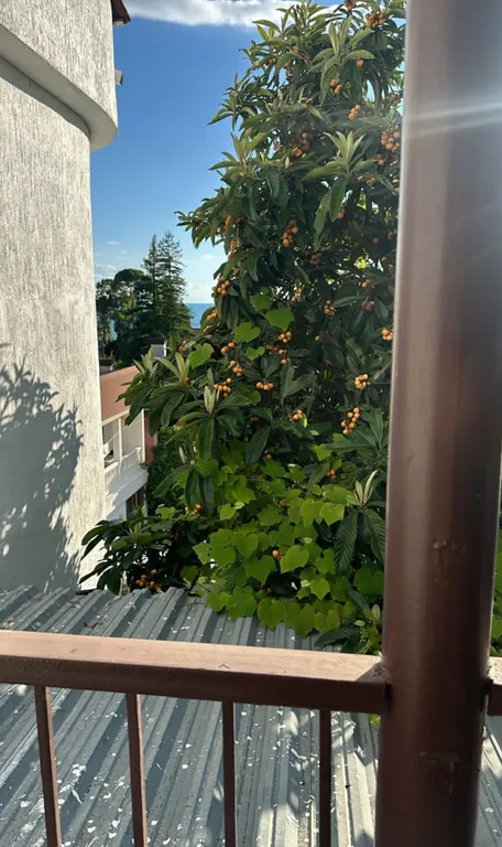 Квартира Комната — Гагра