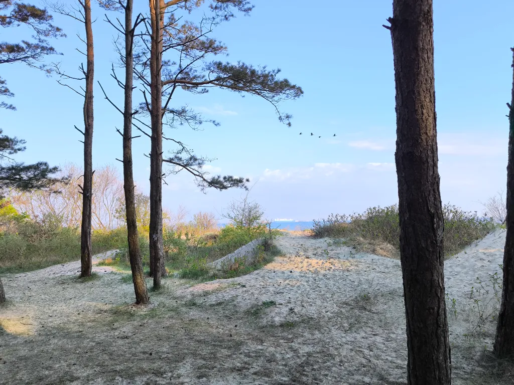 Коттедж Уютный дом на Балтийском море — Зеленоградск