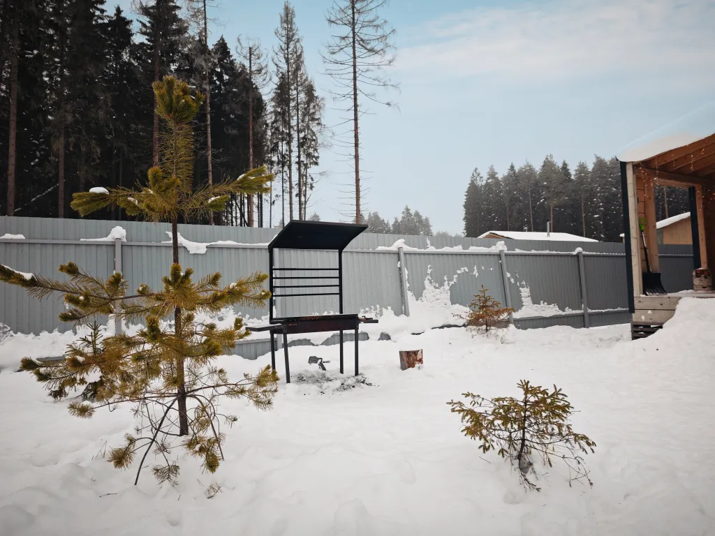 Дом у леса с камином