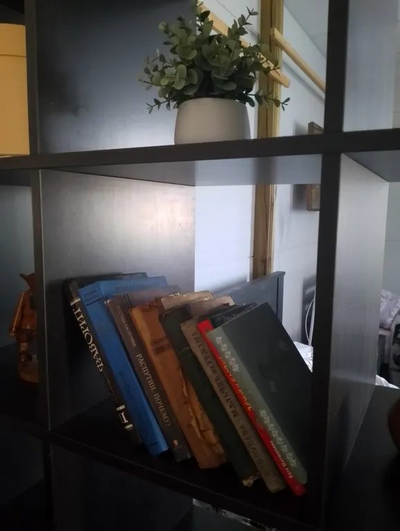 Коттедж Отдельный дом в Креницах — Новая Ладога