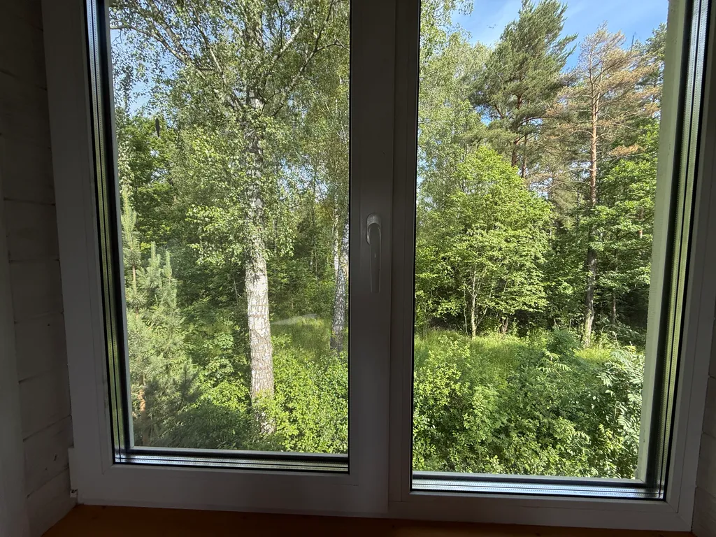 Уютная дача у леса