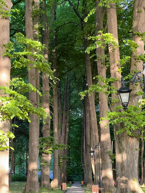 Апартаменты на первой береговой линии с боковым видом на море