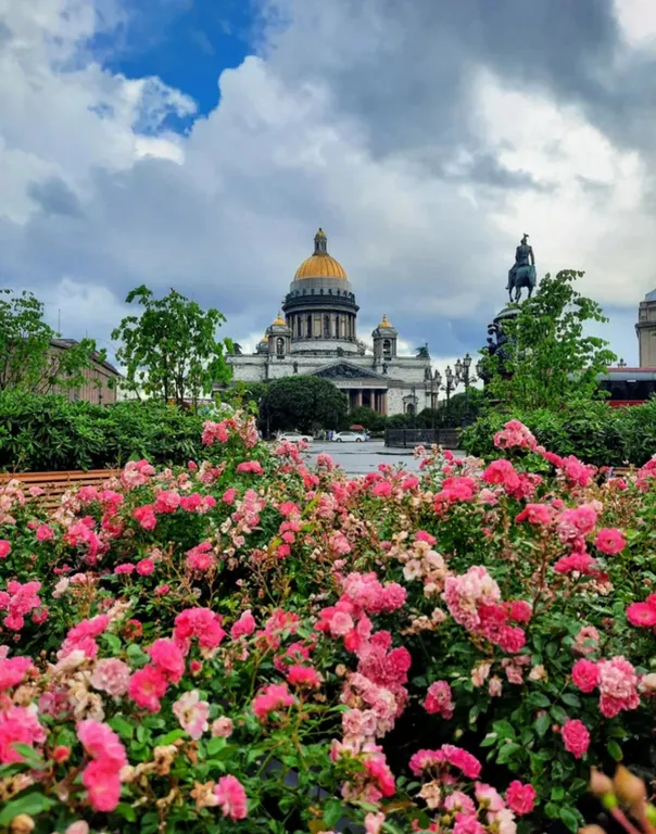 Квартира Квартира картинная галерея-библиотека — Санкт-Петербург