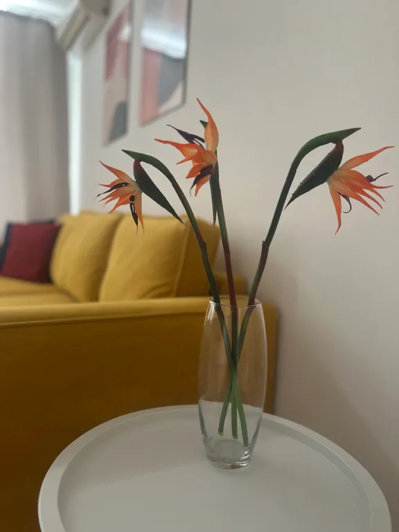 Двухкомнатная квартира на Центральной площади