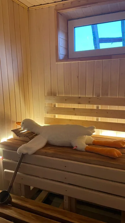 Дом-баня-чан