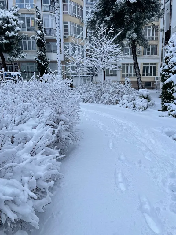 Квартира Квартира-студия в санаторно-курортной зоне — Геленджик
