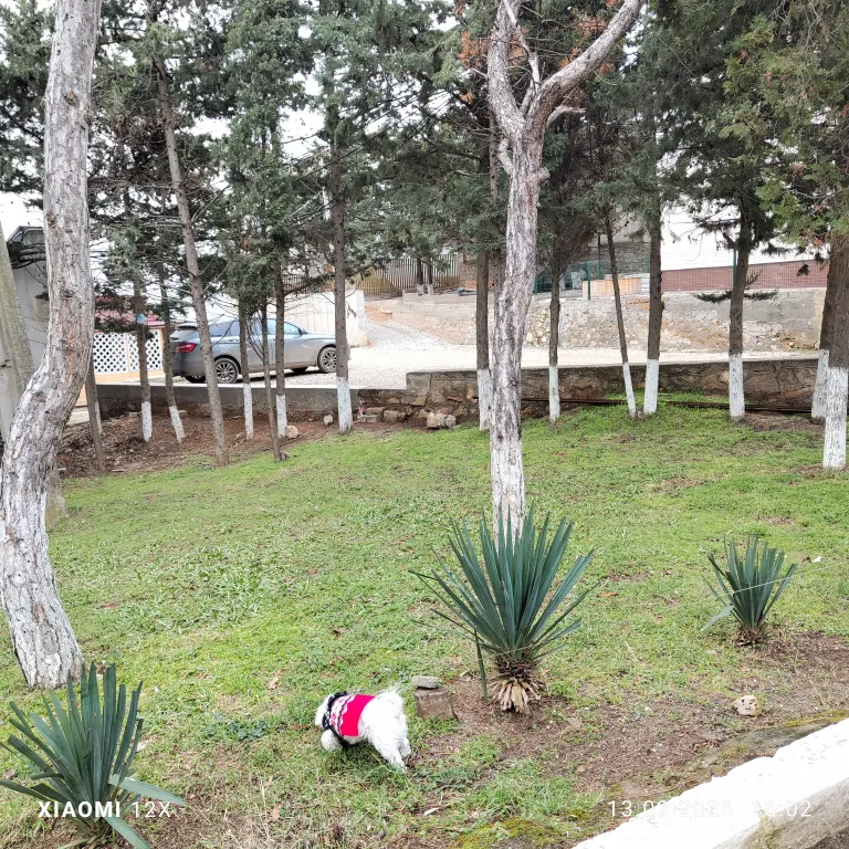 Двухуровневые видовые апартаменты у моря