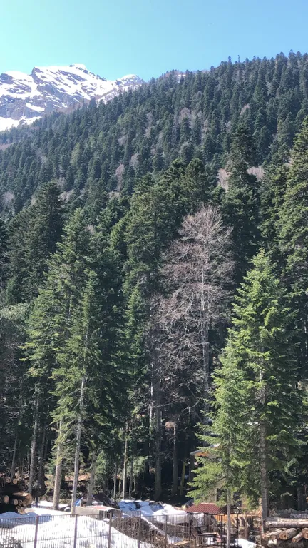 Квартира с потрясающим видом на горы