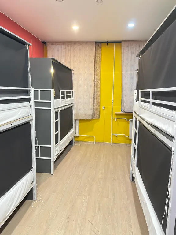 Северная Звезда