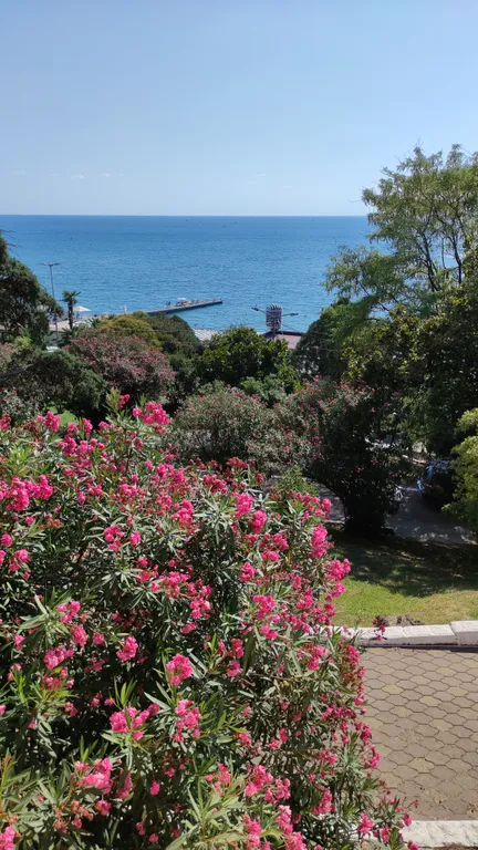 Квартира Квартира с видом на море — Сочи