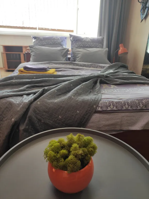 Уютная квартира с брутальным характером — аренда посуточно в Петропавловск-Камчатский