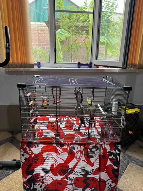 Гостевой частный дом в 50 метрах от моря…