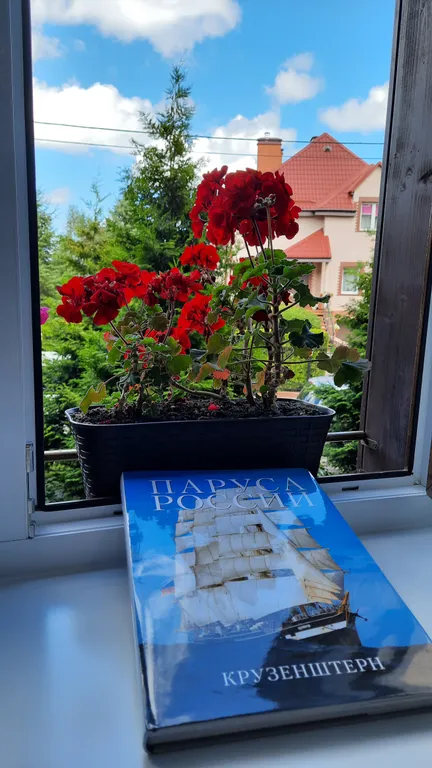 Апартамент на море