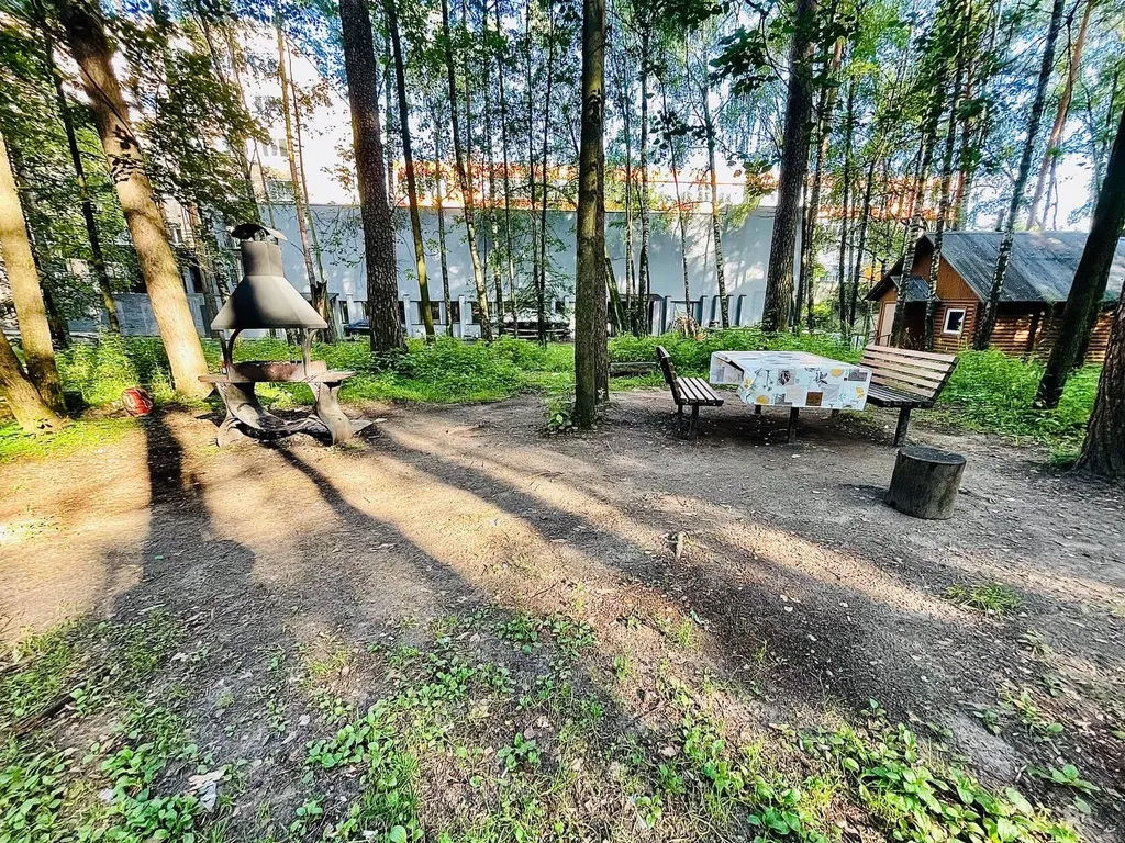 Комфортная студия в сосновом бору