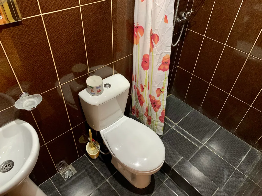 Сияние Солнца