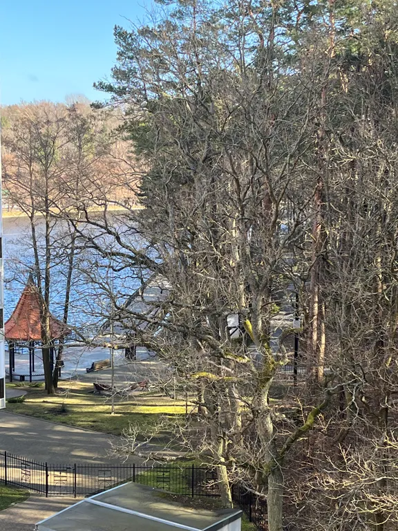 Студия у озера Тихое