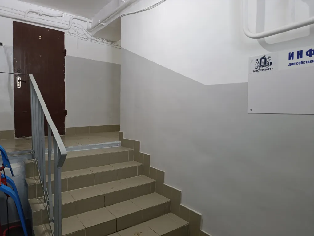 Городские джунгли в самом сердце