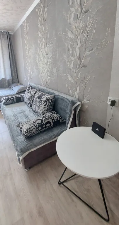 Хорошая однокомнатная квартира с двумя диванами